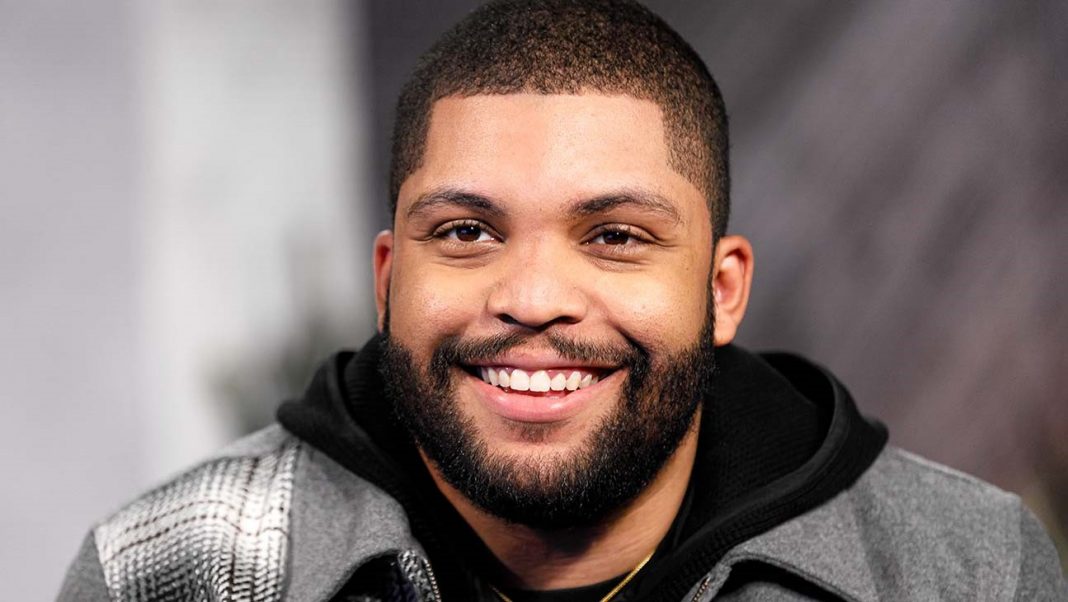 O’Shea Jackson Jr. is an American actor and rapper with the professional na...