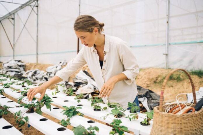 Is Indoor Farming the Future?