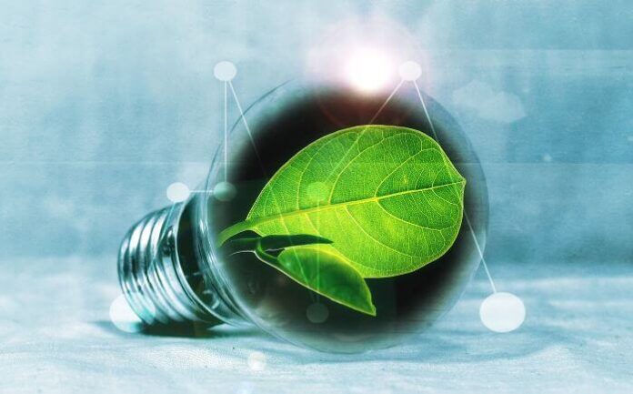 Energy Savings for Your Business