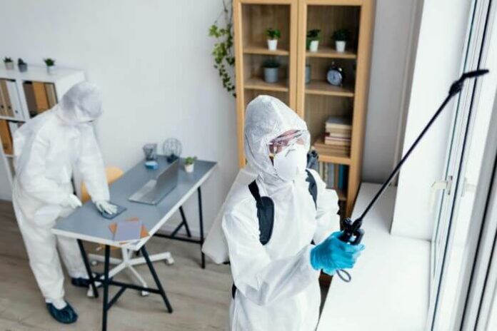 Effective Marketing Strategies for a Pest Control Business
