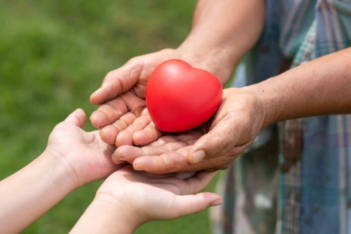 The Heart of Giving: How Charitable Organizations Transform Lives