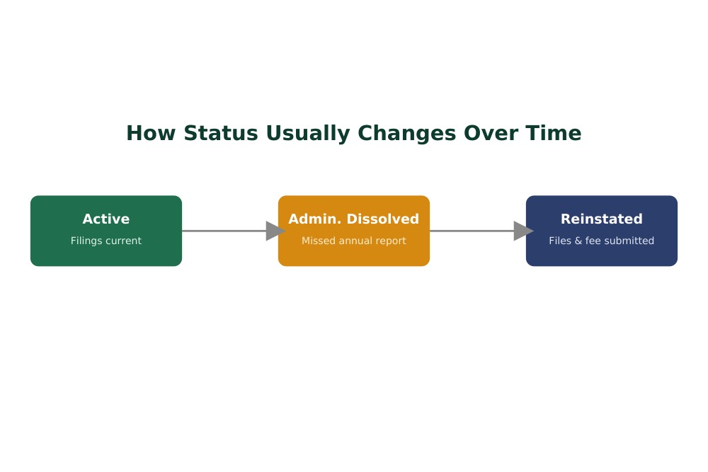 Business Status Meanings in North Carolina